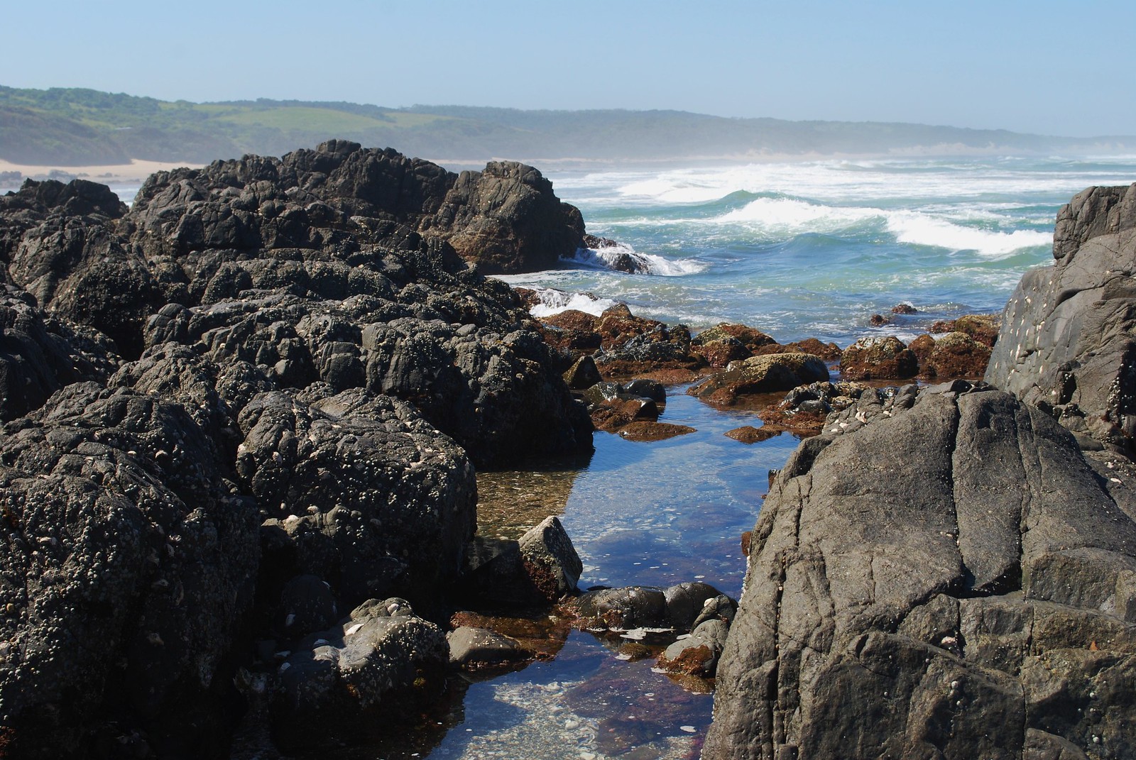 https://mdw-travel-data-us-east-1.s3.amazonaws.com/img/country/South-Africa/Cwebe-Nature-Reserve/img_03.jpg