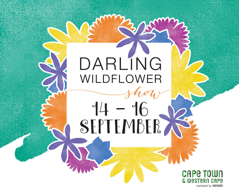 https://mdw-travel-data-us-east-1.s3.amazonaws.com/img/country/South-Africa/Darling-Wildflower-Show/img_02.jpg