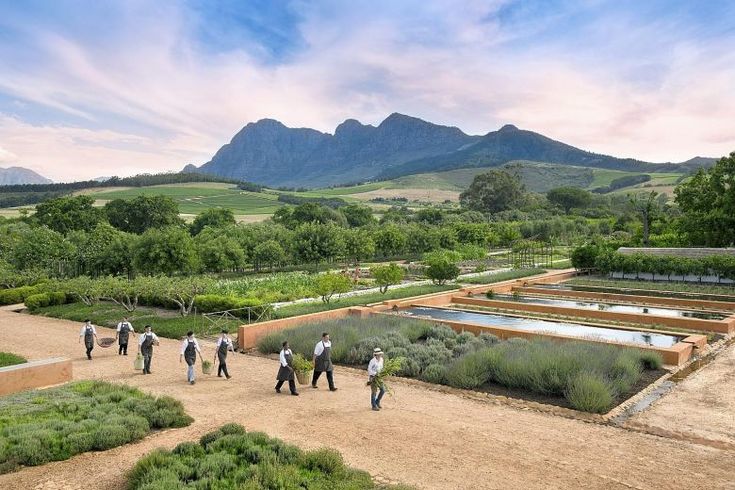 https://mdw-travel-data-us-east-1.s3.amazonaws.com/img/country/South-Africa/De-Kalk-Farm/img_01.jpg
