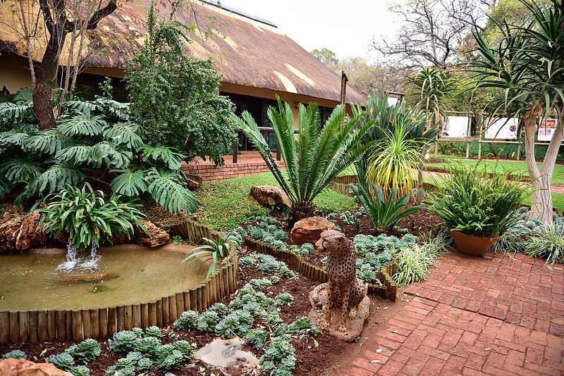 https://mdw-travel-data-us-east-1.s3.amazonaws.com/img/country/South-Africa/De-Wildt-Cheetah-and-Wildlife-Centre/img_02.jpg