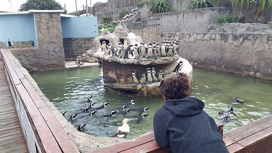 https://mdw-travel-data-us-east-1.s3.amazonaws.com/img/country/South-Africa/East-London-Aquarium/img_01.jpg