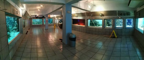 https://mdw-travel-data-us-east-1.s3.amazonaws.com/img/country/South-Africa/East-London-Aquarium/img_02.jpg