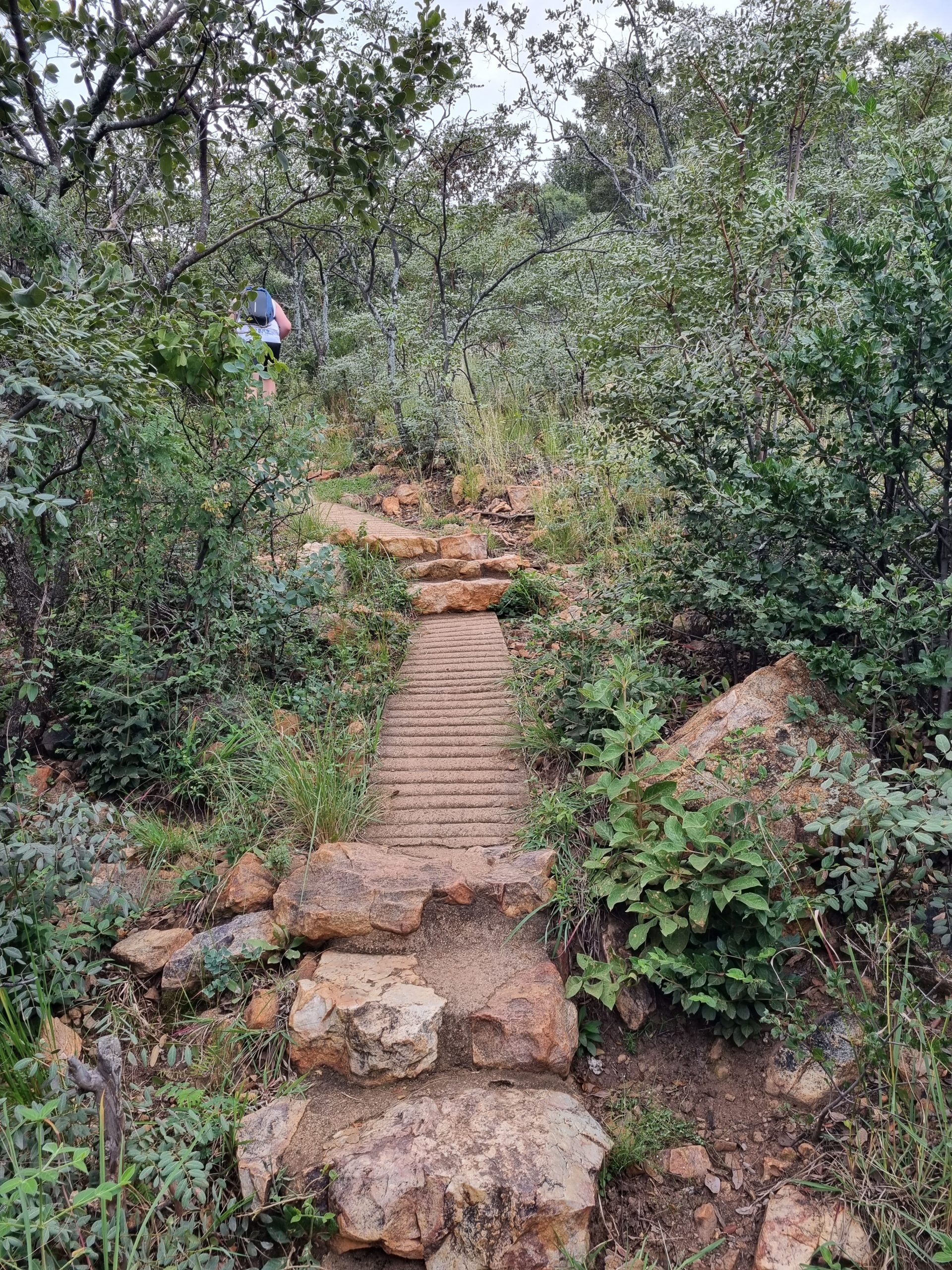 https://mdw-travel-data-us-east-1.s3.amazonaws.com/img/country/South-Africa/Faerie-Glen-Nature-Reserve/img_02.jpg