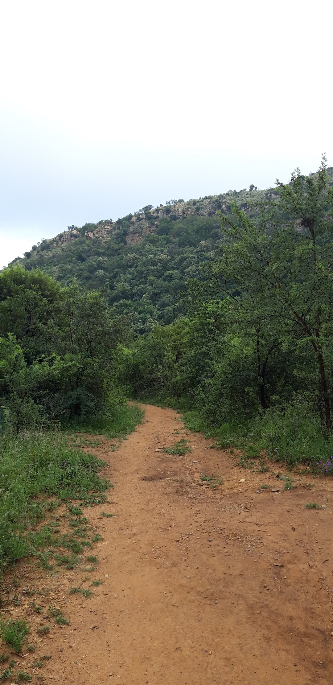 https://mdw-travel-data-us-east-1.s3.amazonaws.com/img/country/South-Africa/Faerie-Glen-Nature-Reserve/img_03.jpg