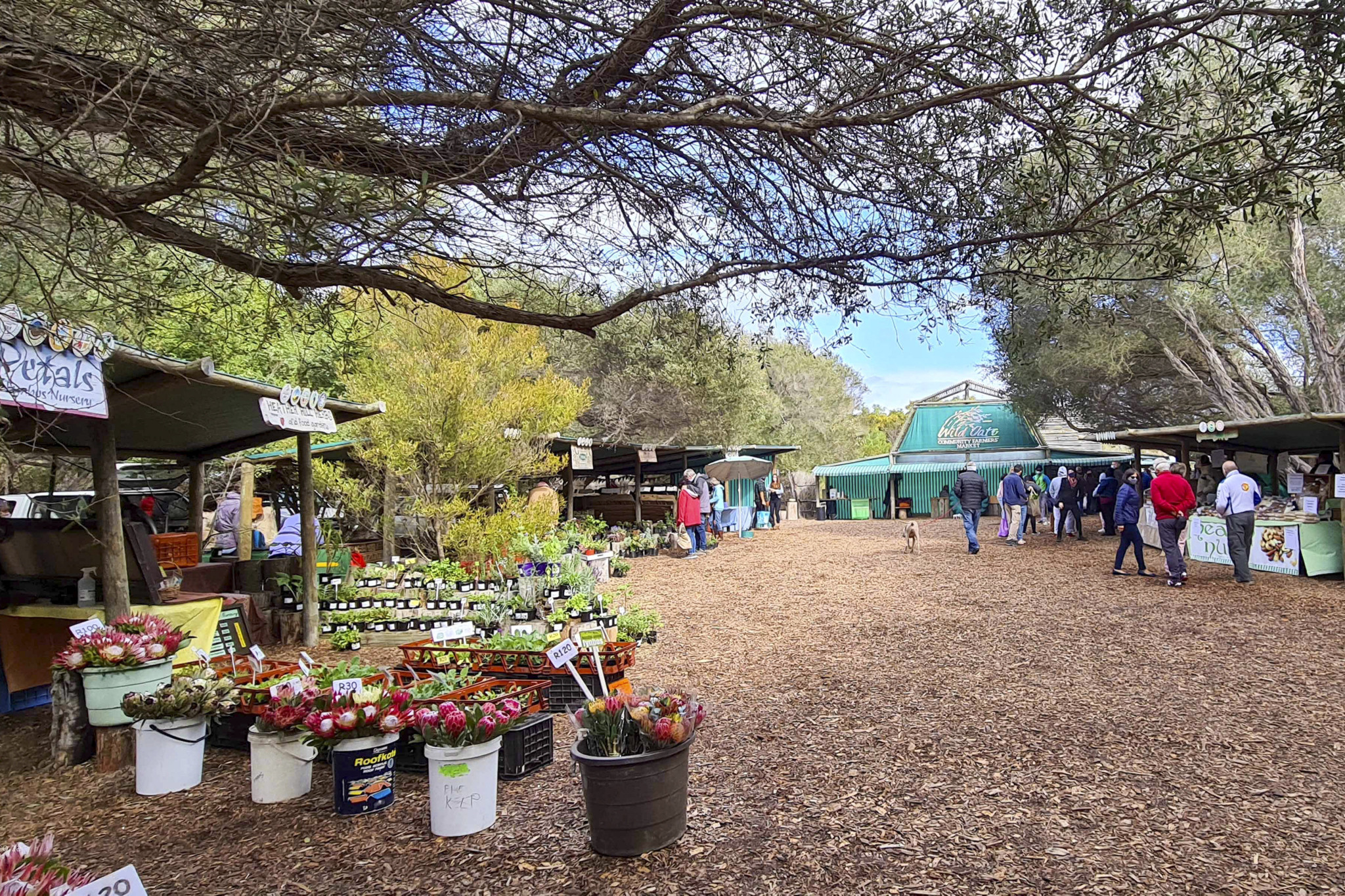 https://mdw-travel-data-us-east-1.s3.amazonaws.com/img/country/South-Africa/Fernkloof-Farmers-Market/img_03.jpg