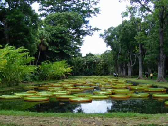 https://mdw-travel-data-us-east-1.s3.amazonaws.com/img/country/South-Africa/Free-State-National-Botanical-Garden/img_02.jpg