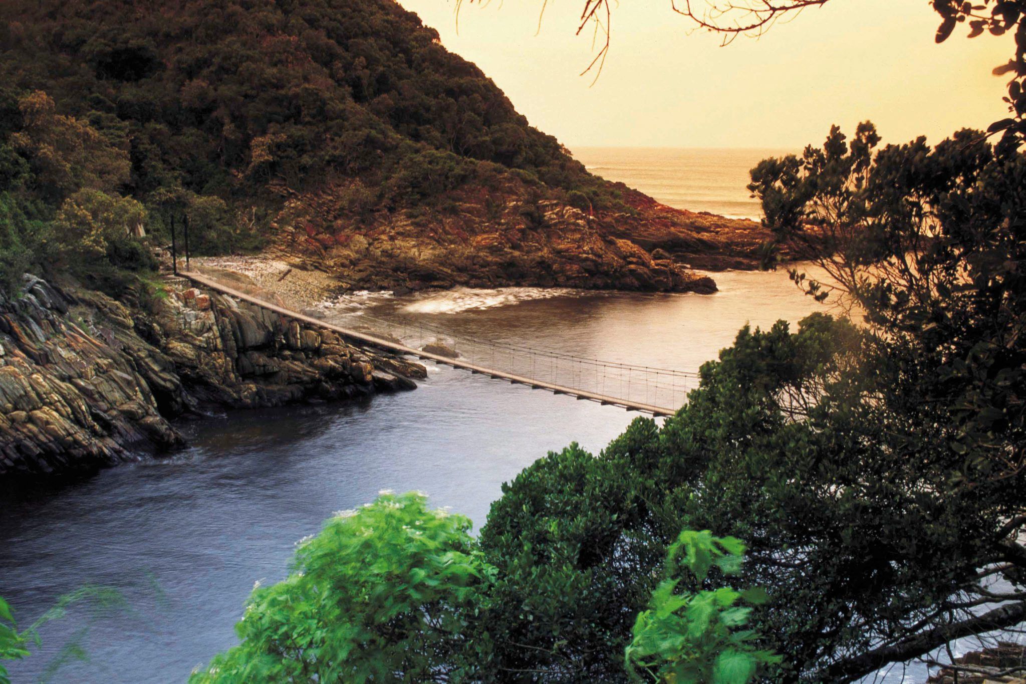 https://mdw-travel-data-us-east-1.s3.amazonaws.com/img/country/South-Africa/Garden-Route-Botanical-Garden/img_01.jpg