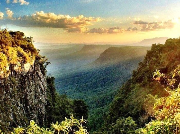 https://mdw-travel-data-us-east-1.s3.amazonaws.com/img/country/South-Africa/Gods-Window/img_00.jpg