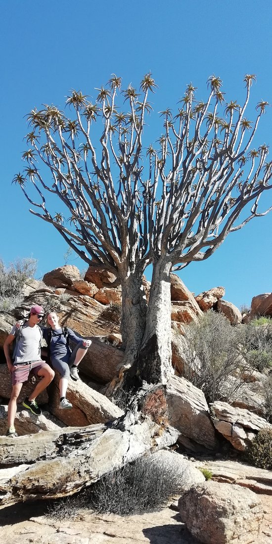https://mdw-travel-data-us-east-1.s3.amazonaws.com/img/country/South-Africa/Goegap-Nature-Reserve/img_02.jpg