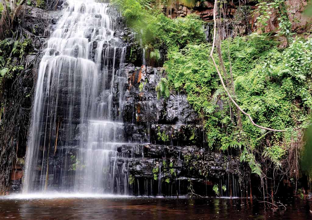https://mdw-travel-data-us-east-1.s3.amazonaws.com/img/country/South-Africa/Goo-Moremi-Gorge/img_03.jpg