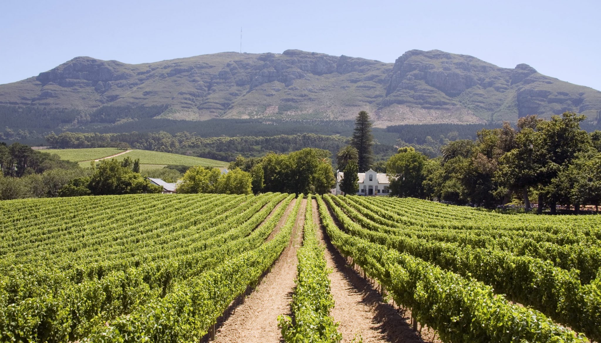 https://mdw-travel-data-us-east-1.s3.amazonaws.com/img/country/South-Africa/Goose-Wines/img_02.jpg