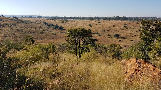 https://mdw-travel-data-us-east-1.s3.amazonaws.com/img/country/South-Africa/Groenkloof-Nature-Reserve/img_03.jpg