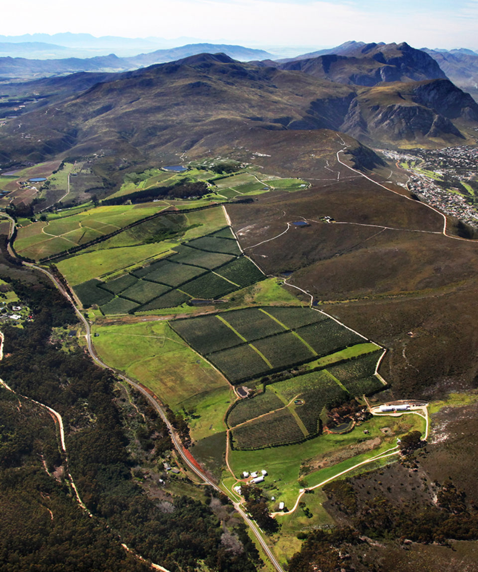 https://mdw-travel-data-us-east-1.s3.amazonaws.com/img/country/South-Africa/Hamilton-Russell-Vineyards/img_00.jpg