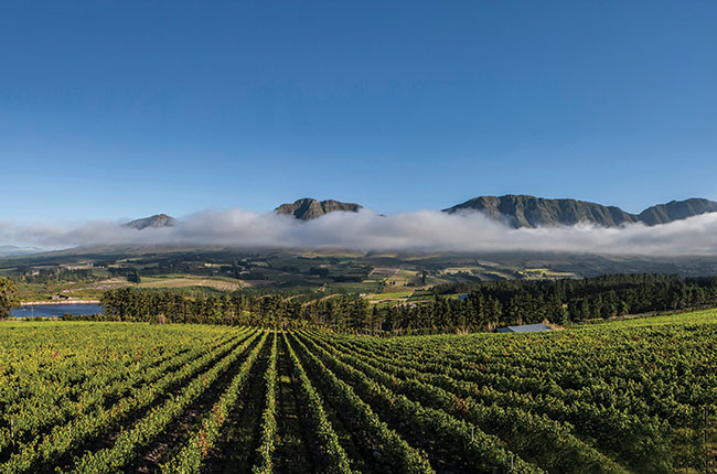 https://mdw-travel-data-us-east-1.s3.amazonaws.com/img/country/South-Africa/Hemel-en-Aarde-Valley/img_01.jpg