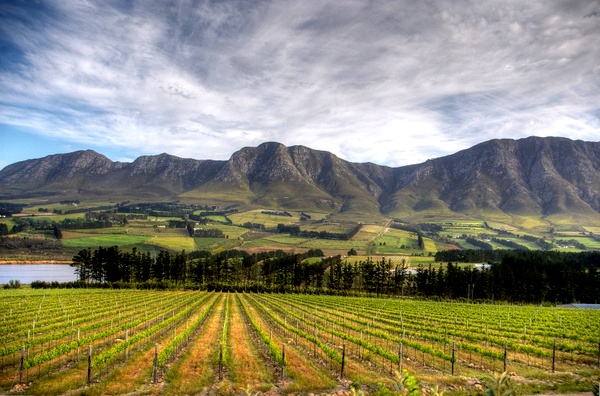 https://mdw-travel-data-us-east-1.s3.amazonaws.com/img/country/South-Africa/Hemel-en-Aarde-Valley/img_03.jpg