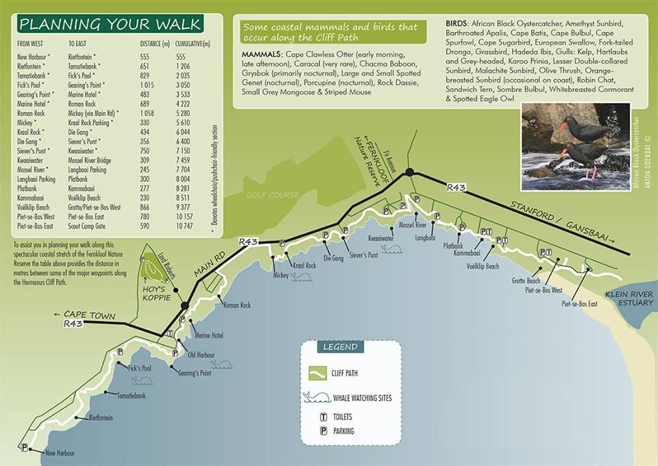 https://mdw-travel-data-us-east-1.s3.amazonaws.com/img/country/South-Africa/Hermanus-Cliff-Path/img_01.jpg