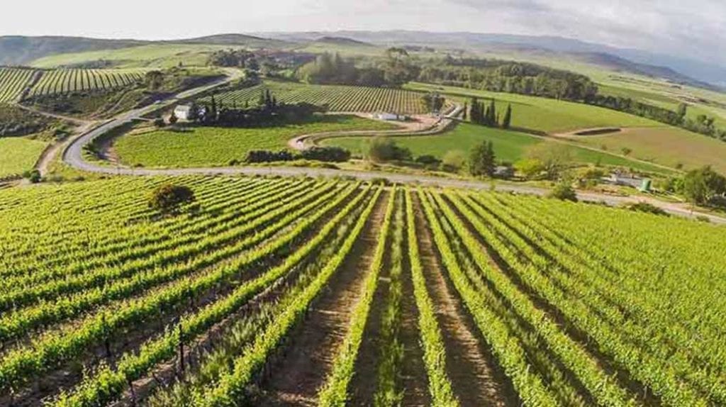 https://mdw-travel-data-us-east-1.s3.amazonaws.com/img/country/South-Africa/Herold-Wine-Farm/img_03.jpg