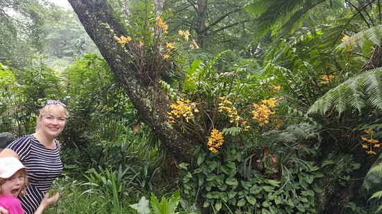 https://mdw-travel-data-us-east-1.s3.amazonaws.com/img/country/South-Africa/Hlokomela-Herb-Garden/img_04.jpg