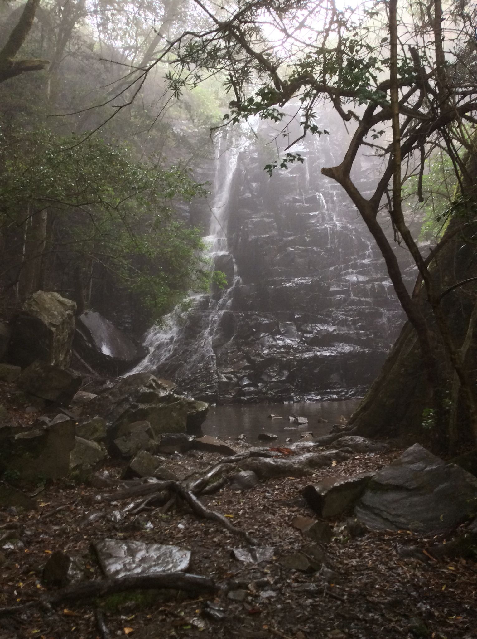 https://mdw-travel-data-us-east-1.s3.amazonaws.com/img/country/South-Africa/Hogsback/img_01.jpg