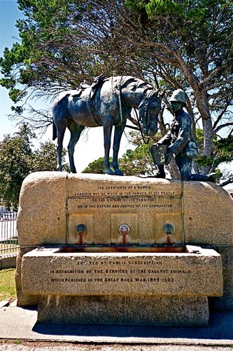 https://mdw-travel-data-us-east-1.s3.amazonaws.com/img/country/South-Africa/Horse-Memorial/img_02.jpg