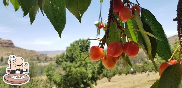 https://mdw-travel-data-us-east-1.s3.amazonaws.com/img/country/South-Africa/Ionia-Cherry-Farm/img_03.jpg