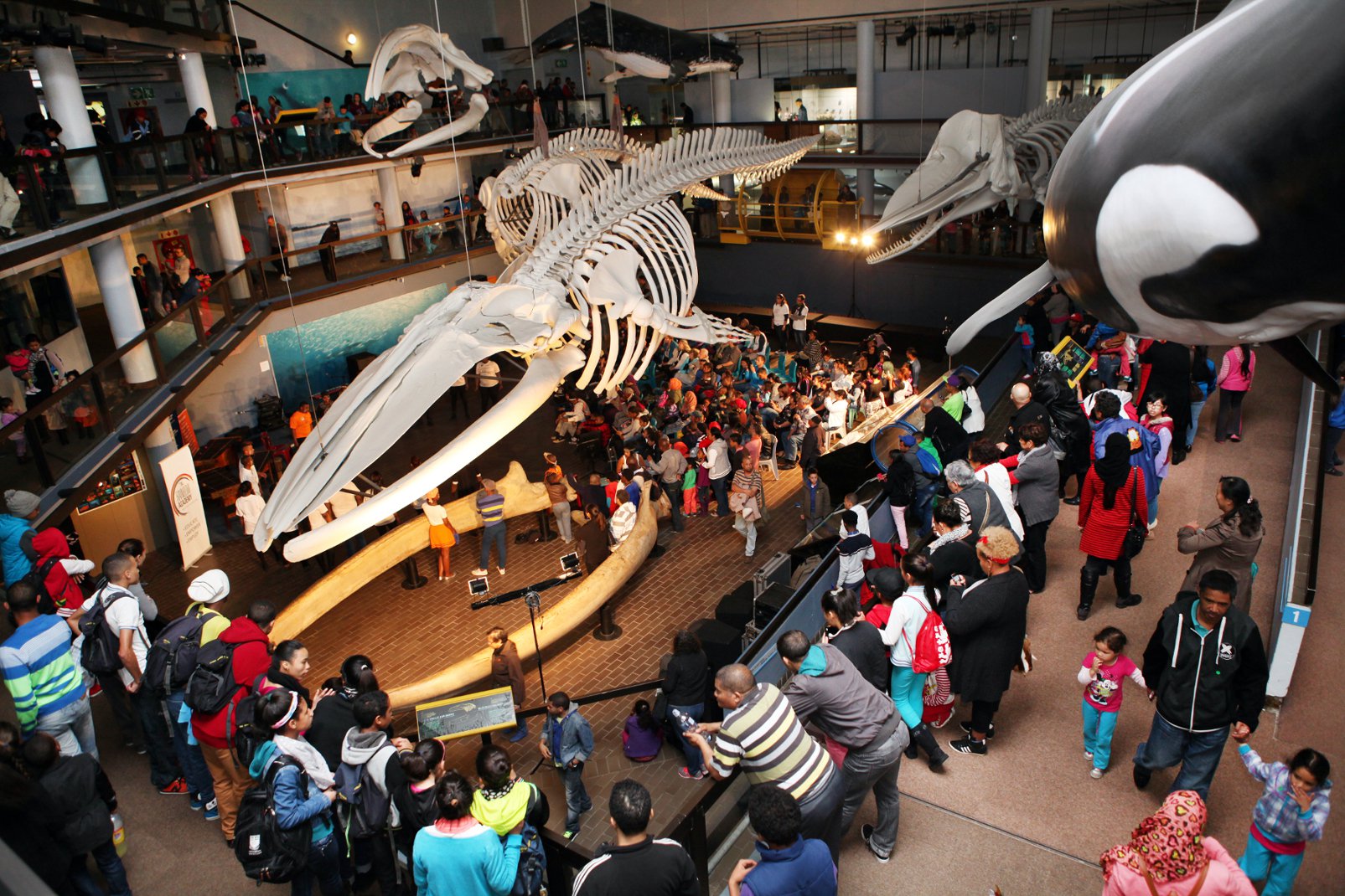 https://mdw-travel-data-us-east-1.s3.amazonaws.com/img/country/South-Africa/Iziko-Museum-Whale-House/img_01.jpg