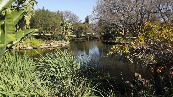 https://mdw-travel-data-us-east-1.s3.amazonaws.com/img/country/South-Africa/Jan-Cilliers-Park/img_01.jpg
