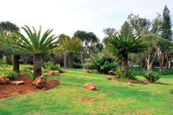 https://mdw-travel-data-us-east-1.s3.amazonaws.com/img/country/South-Africa/Jan-Cilliers-Park/img_02.jpg
