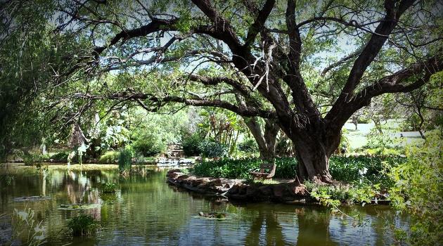 https://mdw-travel-data-us-east-1.s3.amazonaws.com/img/country/South-Africa/Jan-Cilliers-Park/img_03.jpg