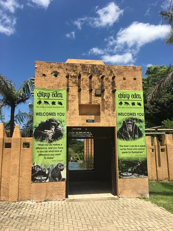 https://mdw-travel-data-us-east-1.s3.amazonaws.com/img/country/South-Africa/Jane-Goodall-Institute-Chimpanzee-Sanctuary/img_00.jpg