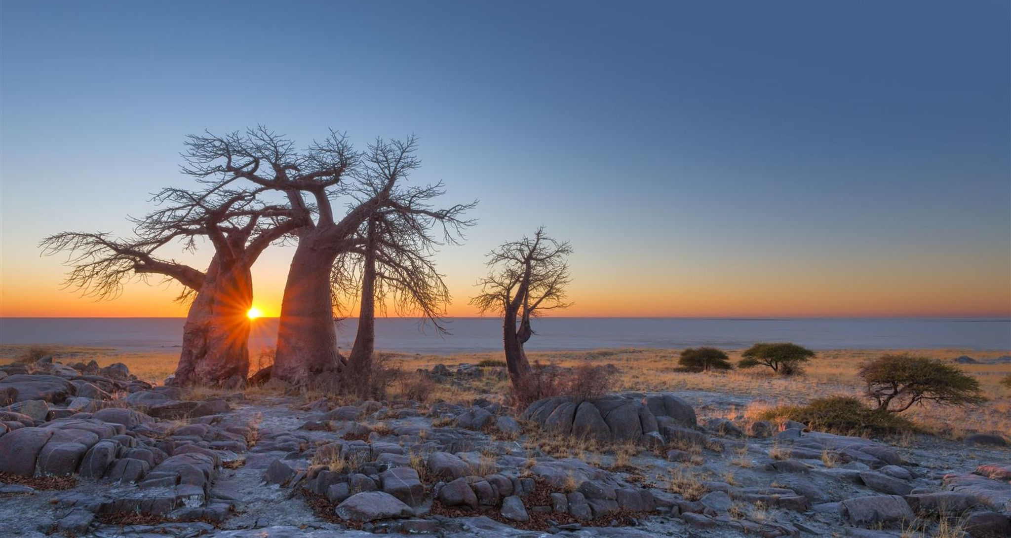 https://mdw-travel-data-us-east-1.s3.amazonaws.com/img/country/South-Africa/Kalahari-River-and-Safari-Company/img_00.jpg
