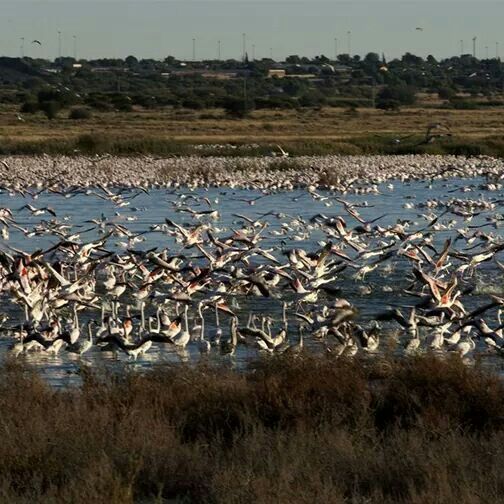 https://mdw-travel-data-us-east-1.s3.amazonaws.com/img/country/South-Africa/Kamfers-Dam/img_00.jpg