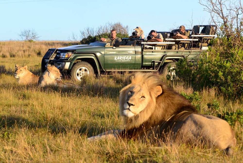 https://mdw-travel-data-us-east-1.s3.amazonaws.com/img/country/South-Africa/Kariega-Game-Reserve/img_01.jpg