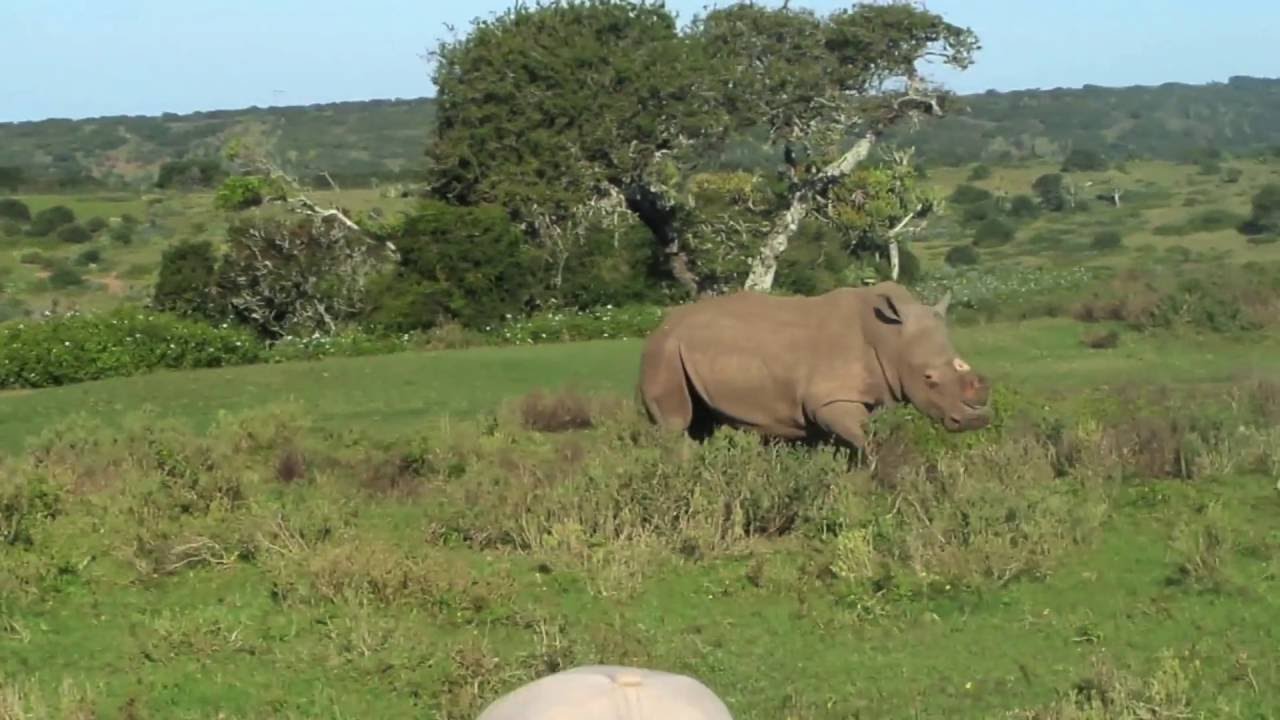 https://mdw-travel-data-us-east-1.s3.amazonaws.com/img/country/South-Africa/Kariega-Game-Reserve/img_02.jpg
