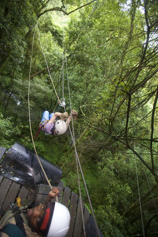 https://mdw-travel-data-us-east-1.s3.amazonaws.com/img/country/South-Africa/Karkloof-Canopy-Tour/img_02.jpg