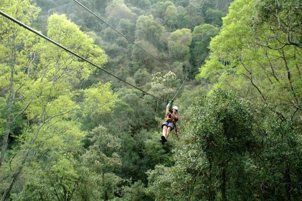 https://mdw-travel-data-us-east-1.s3.amazonaws.com/img/country/South-Africa/Karkloof-Canopy-Tour/img_03.jpg