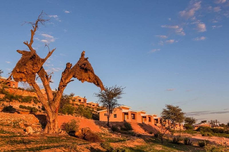 https://mdw-travel-data-us-east-1.s3.amazonaws.com/img/country/South-Africa/Kgalagadi-Lodge/img_01.jpg