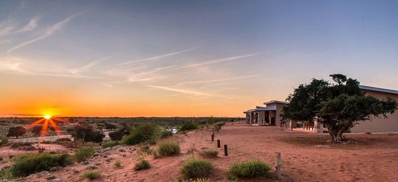 https://mdw-travel-data-us-east-1.s3.amazonaws.com/img/country/South-Africa/Kgalagadi-Lodge/img_02.jpg