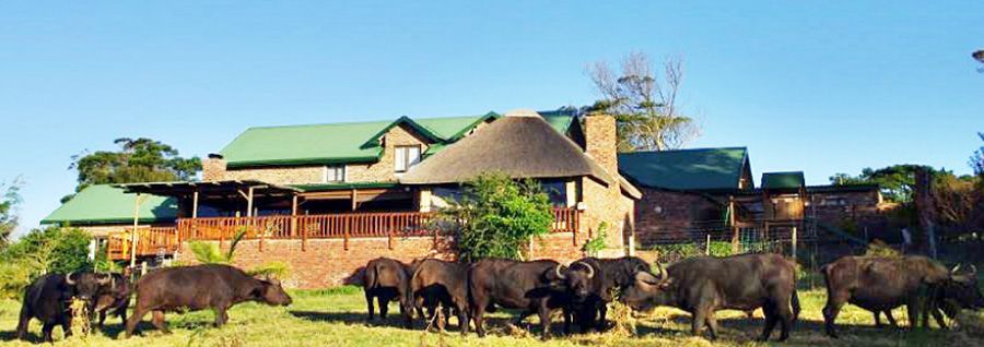 https://mdw-travel-data-us-east-1.s3.amazonaws.com/img/country/South-Africa/Kragga-Kamma-Game-Park/img_01.jpg
