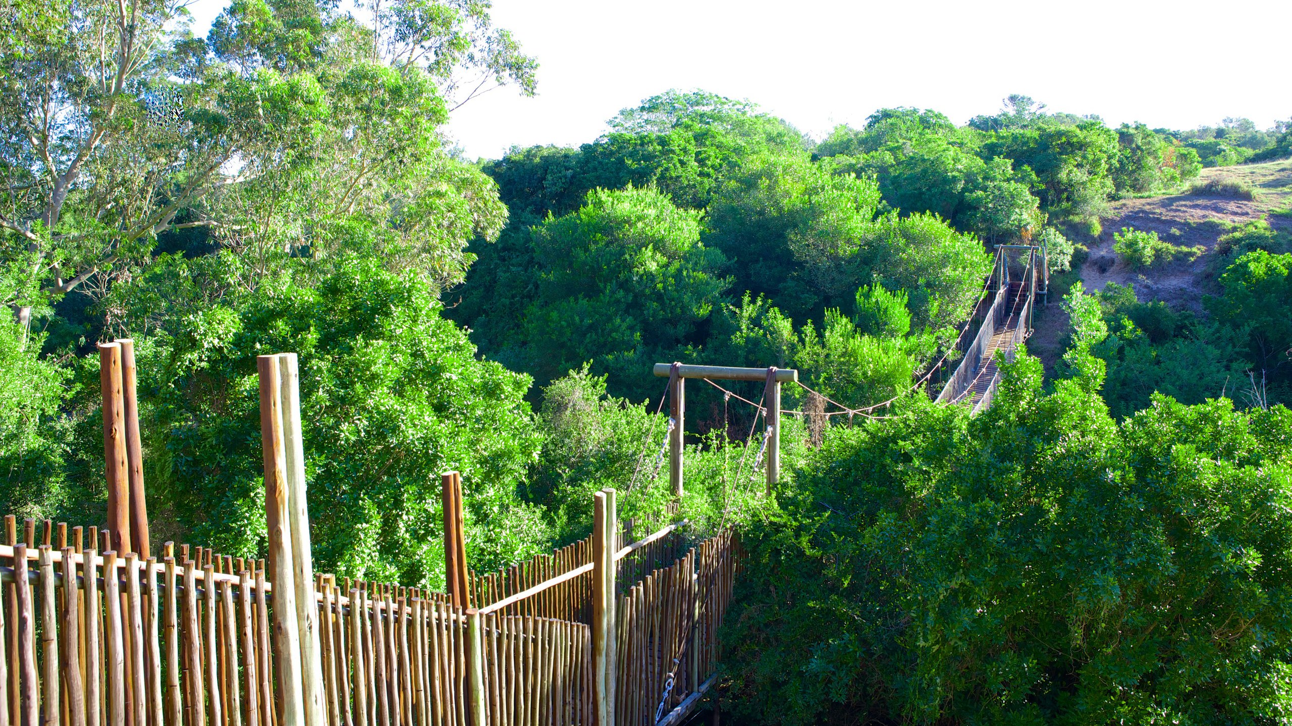 https://mdw-travel-data-us-east-1.s3.amazonaws.com/img/country/South-Africa/Kragga-Kamma-Game-Park/img_02.jpg