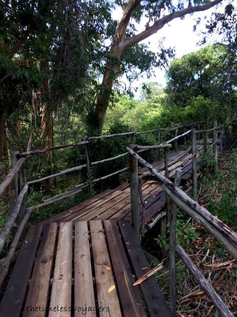 https://mdw-travel-data-us-east-1.s3.amazonaws.com/img/country/South-Africa/Kragga-Kamma-Game-Park/img_03.jpg