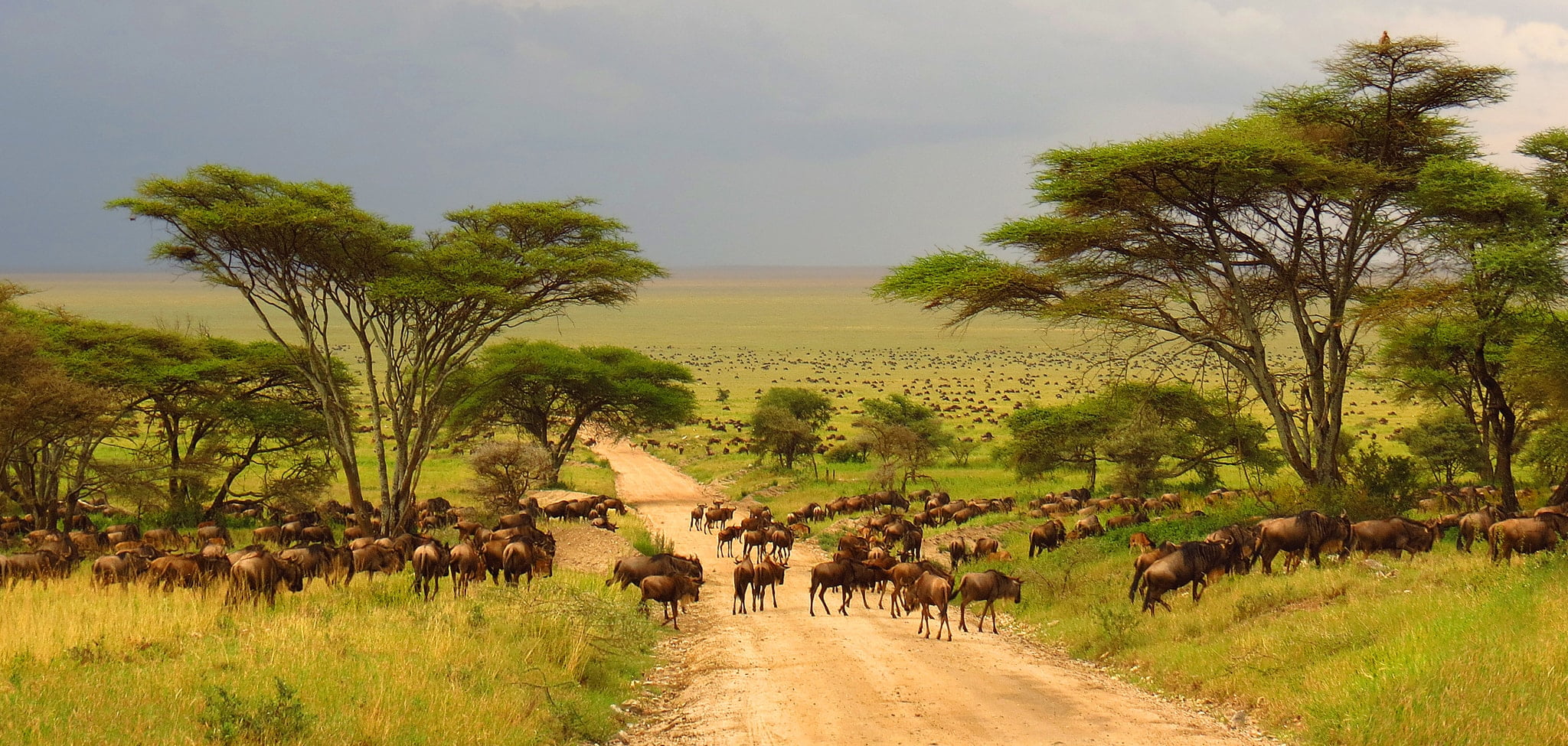 https://mdw-travel-data-us-east-1.s3.amazonaws.com/img/country/South-Africa/Kruger-National-Park/img_00.jpg