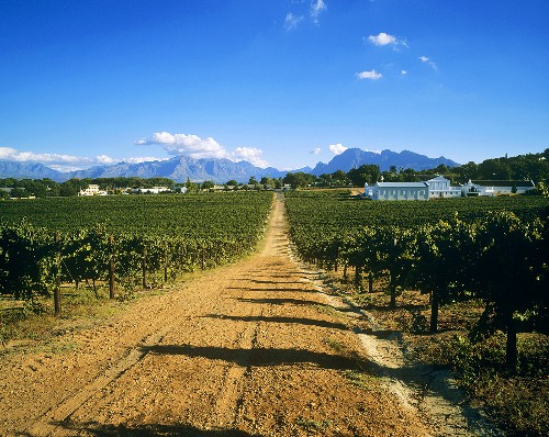 https://mdw-travel-data-us-east-1.s3.amazonaws.com/img/country/South-Africa/Laborie-Wine-Estate/img_00.jpg