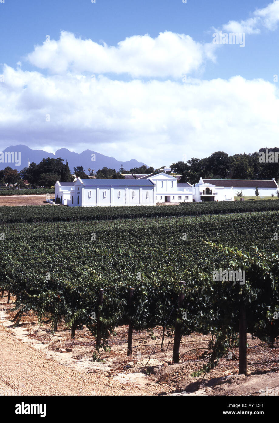 https://mdw-travel-data-us-east-1.s3.amazonaws.com/img/country/South-Africa/Laborie-Wine-Estate/img_03.jpg