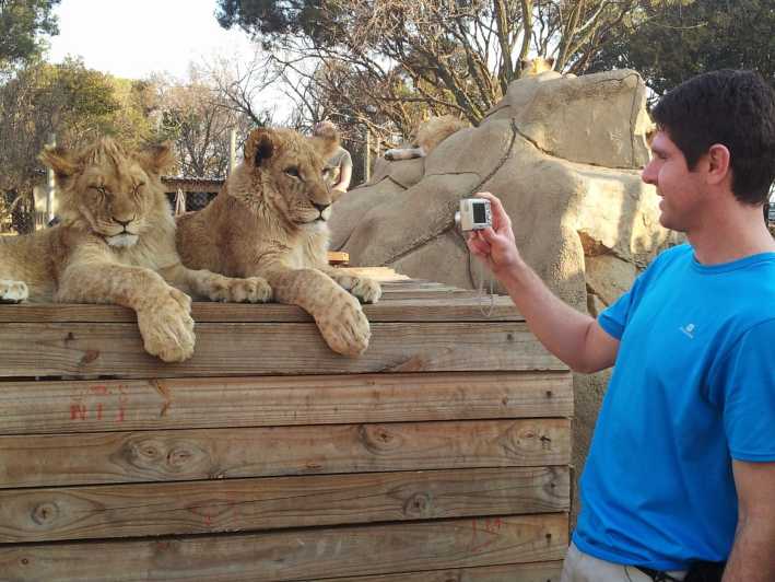https://mdw-travel-data-us-east-1.s3.amazonaws.com/img/country/South-Africa/Lion-&-Safari-Park/img_02.jpg