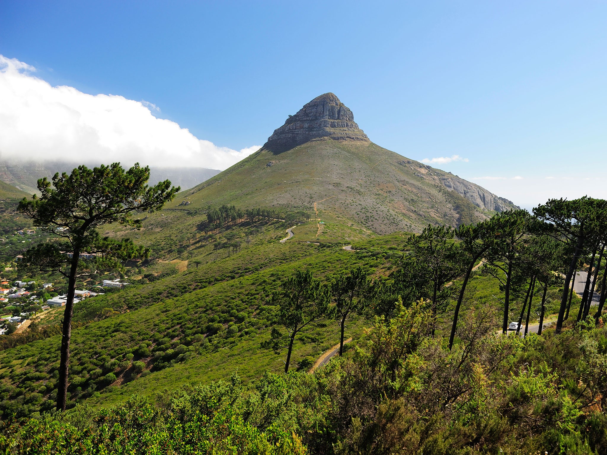 https://mdw-travel-data-us-east-1.s3.amazonaws.com/img/country/South-Africa/Lions-Head/img_01.jpg