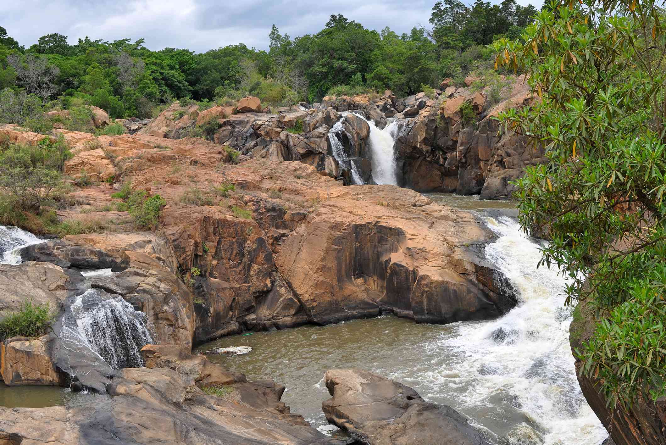 https://mdw-travel-data-us-east-1.s3.amazonaws.com/img/country/South-Africa/Lowveld-National-Botanical-Garden/img_01.jpg