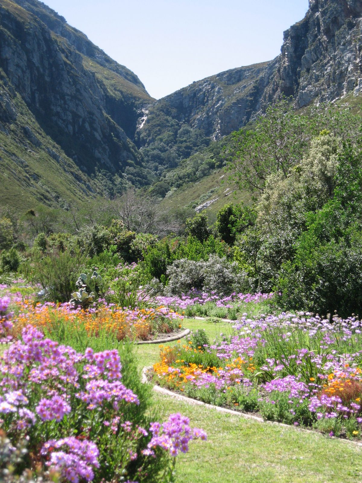 https://mdw-travel-data-us-east-1.s3.amazonaws.com/img/country/South-Africa/Lowveld-National-Botanical-Garden/img_02.jpg