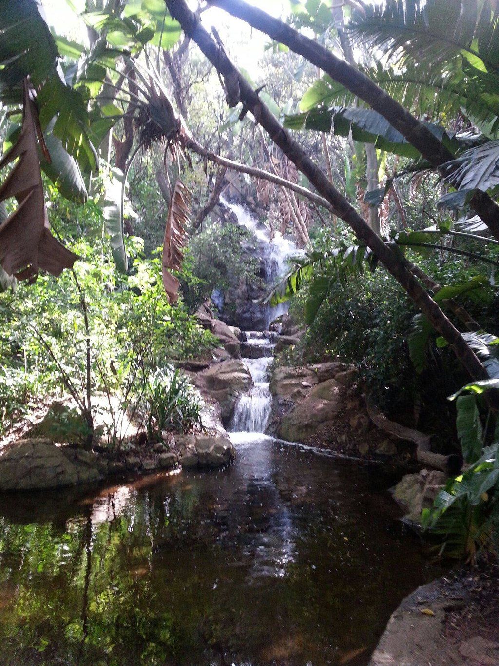 https://mdw-travel-data-us-east-1.s3.amazonaws.com/img/country/South-Africa/Lowveld-National-Botanical-Garden/img_03.jpg