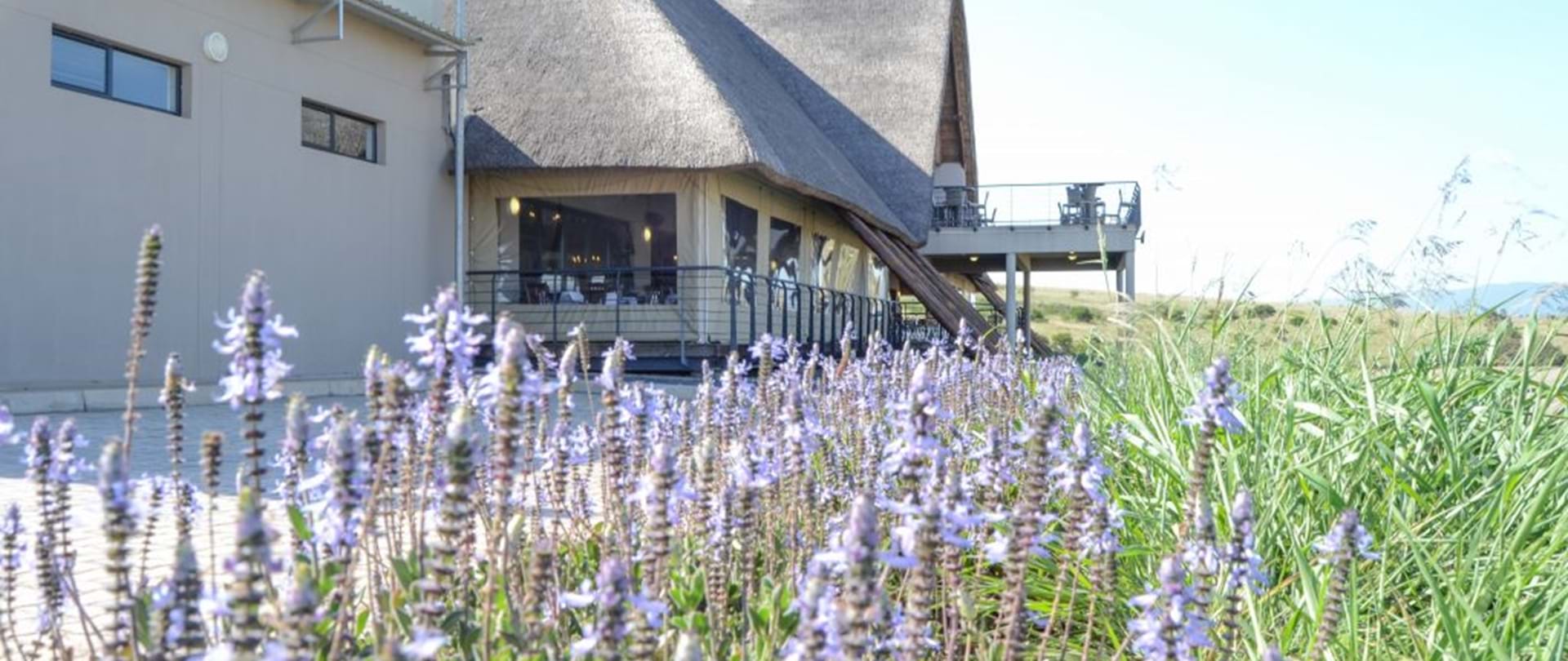https://mdw-travel-data-us-east-1.s3.amazonaws.com/img/country/South-Africa/Luchaba-Nature-Reserve/img_01.jpg